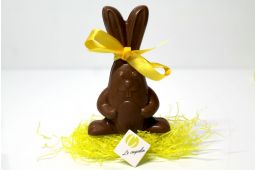 Petit lapin